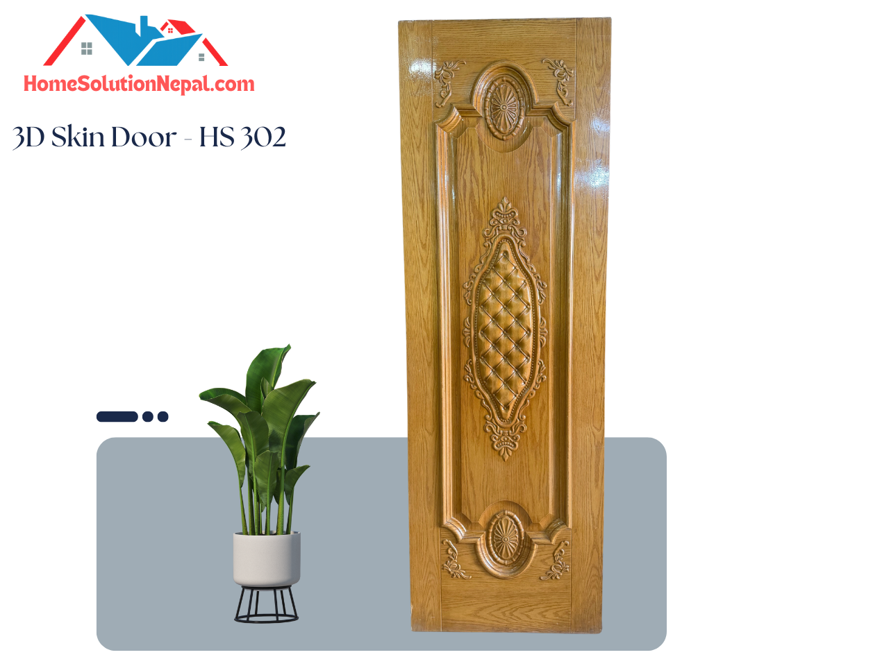 3D Skin Door - HS 302